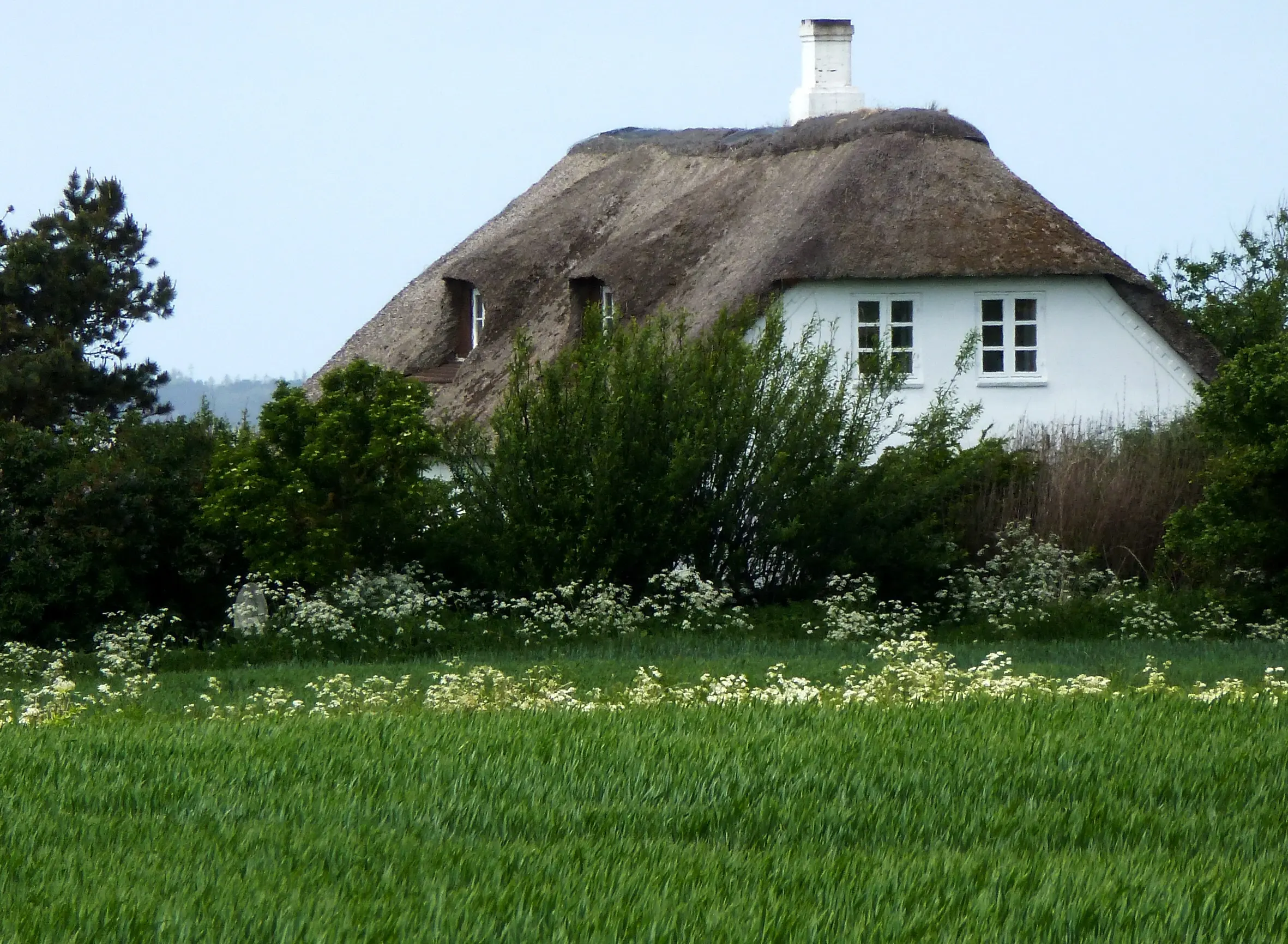 Stråtækt hus i Højer Kommune i Jylland.