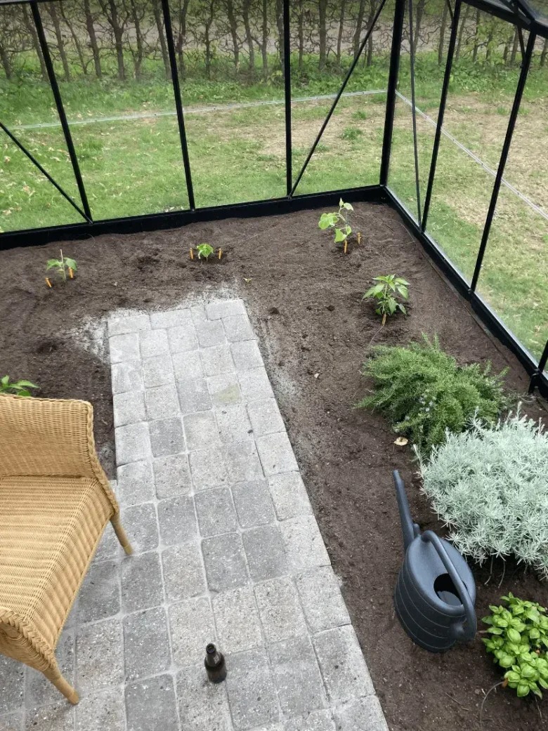 Drivhus med planter