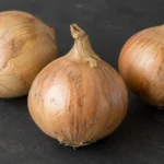 Spiseløg med tør hals og papiragtige yderlag.
