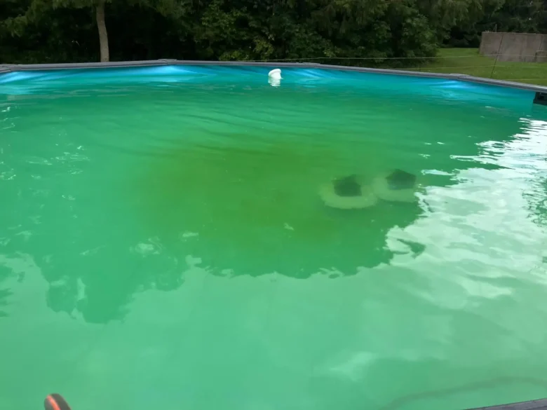 Grønt vand i en fritstående pool set fra kanten.